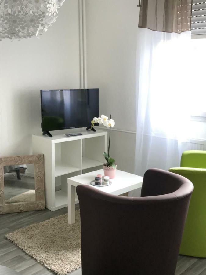 Studio 5 Near Basel Airport Saint-Louis  Exterior foto